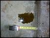 Oil leak?-img_20140210_161621_609-copy-.jpg