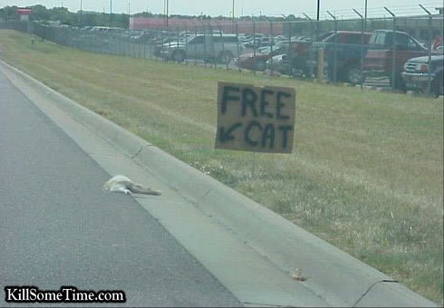 Name:  Free-Cat.jpg
Views: 77
Size:  33.1 KB