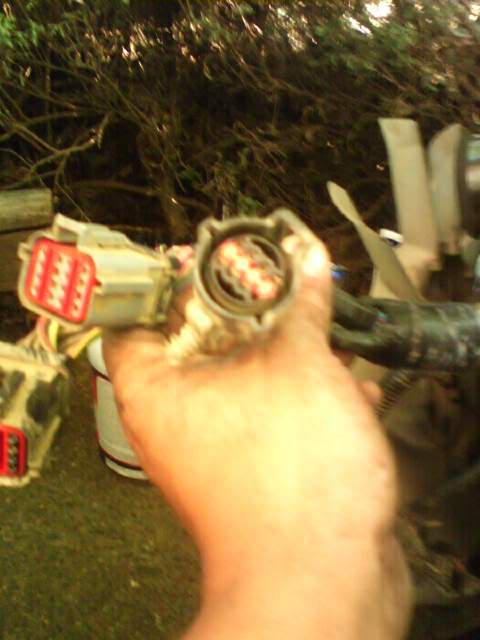 Name:  P_01284.jpg
Views: 113
Size:  33.2 KB