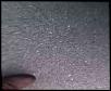 Rattlin Noise from Under the Engine-th_img_0262.jpg