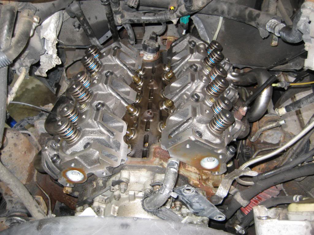 Name:  IMG_3703.jpg
Views: 4602
Size:  132.2 KB