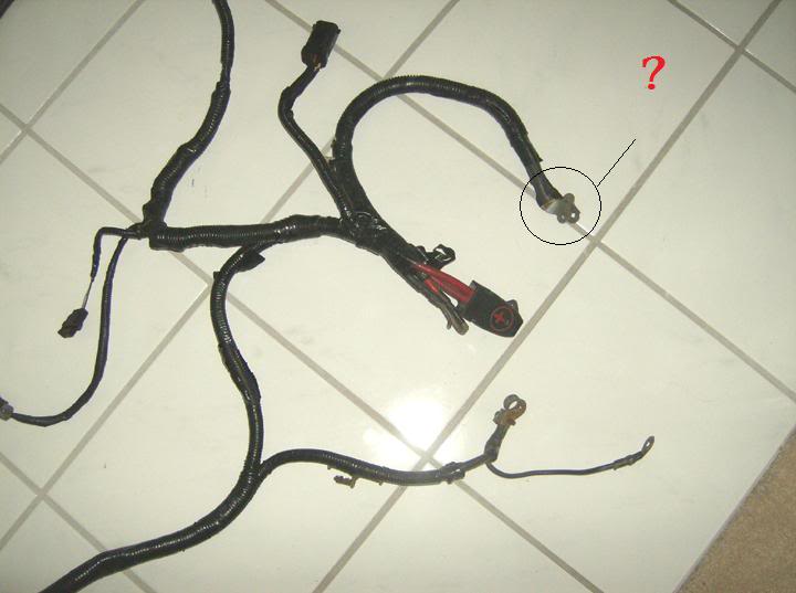 Name:  swapharness1.jpg
Views: 168
Size:  35.2 KB