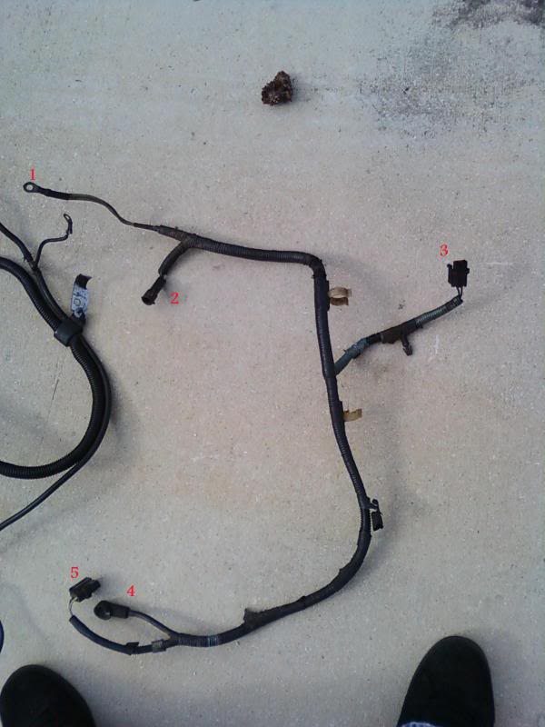 Name: alternatorharness.jpg
Views: 195
Size: 54.1 KB