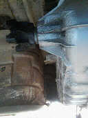 Name: IMG00383-20100116-1536.jpg
Views: 985
Size: 3.3 KB
