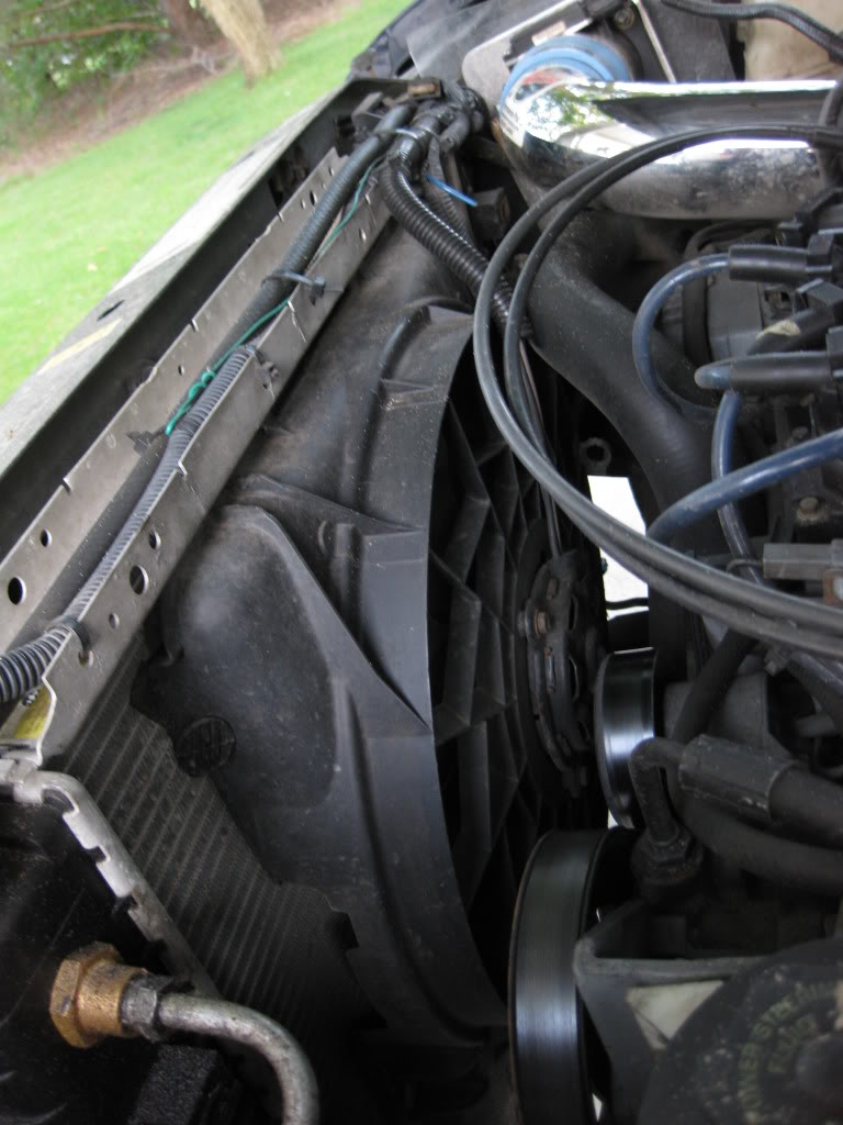Name:  enginebay009.jpg
Views: 329
Size:  106.7 KB