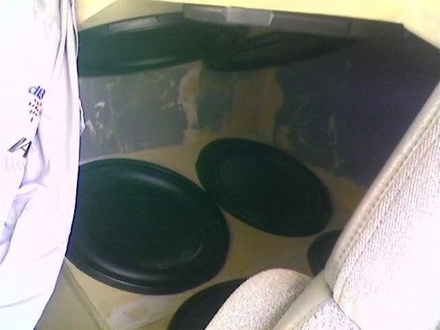 Name:  Bone.jpg
Views: 62
Size:  36.7 KB