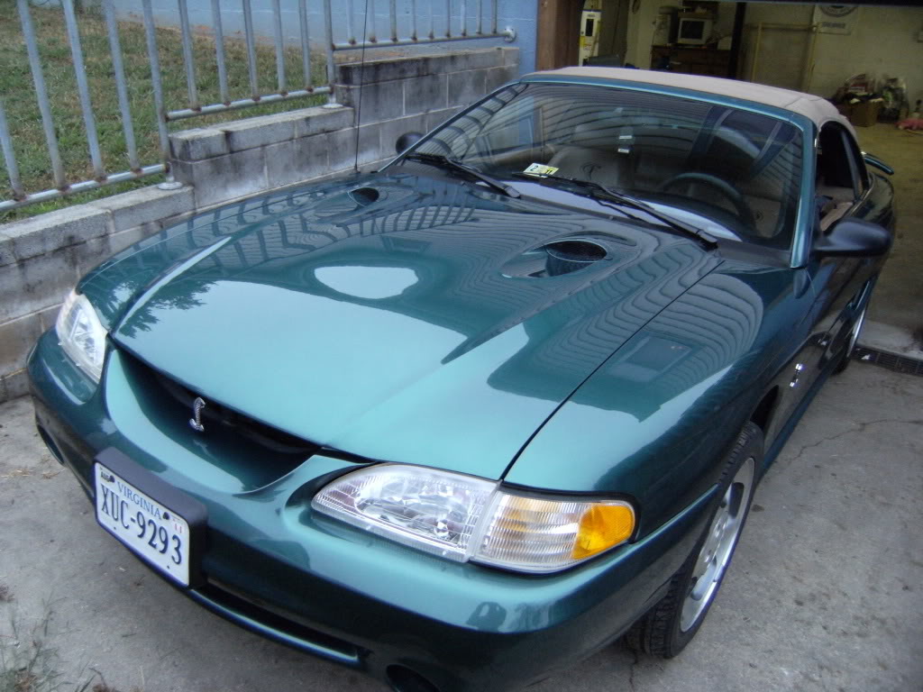Name:  DSCF3285.jpg
Views: 114
Size:  160.9 KB