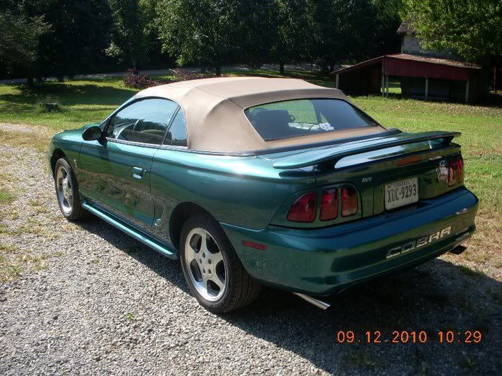 Name:  Cobra014.jpg
Views: 90
Size:  109.7 KB