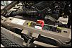 Lets see those CLEAN engine Bays!-dsc_0142-1.jpg