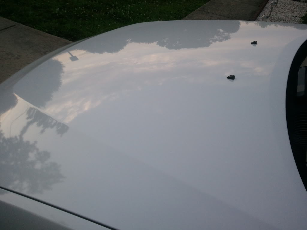 Name:  2011-06-20200854.jpg
Views: 91
Size:  43.0 KB