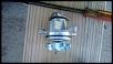Water Pump - do the bolts need to be sealed?  2001 2.3 duratec-tanker3278-47967-albums-2002-ranger-2-3l-dohc-water-pump-2606-picture-img-20131111-091954-497-15.jpg