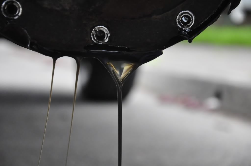 Name: 20100430_0329.jpg
Views: 24699
Size: 36.5 KB