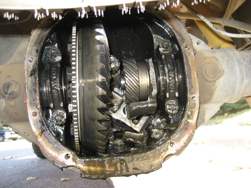 Name:  IMG_1305.jpg
Views: 73
Size:  108.6 KB