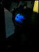 RUBBING strange-img_2753.jpg