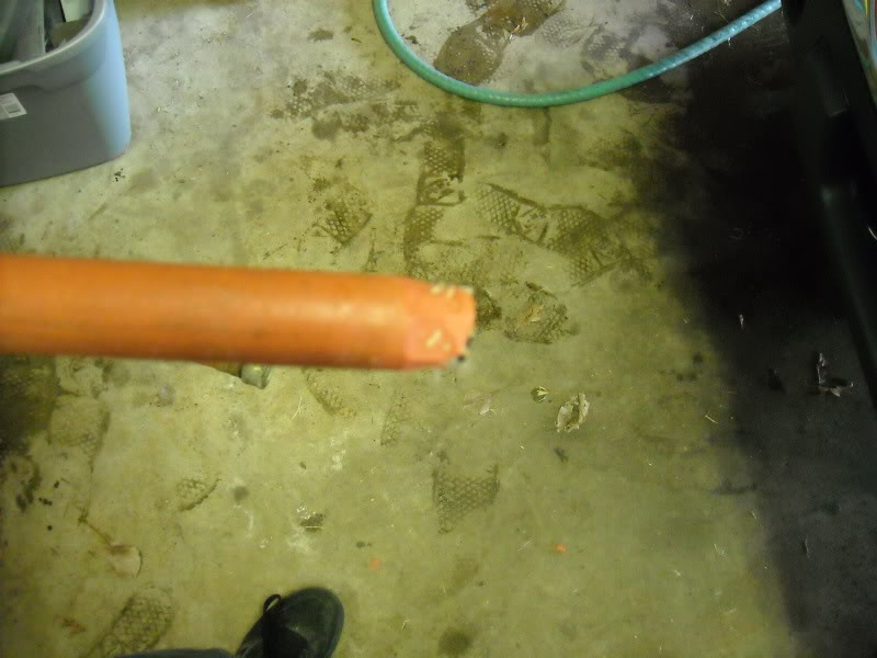 Name: DSCN0208.jpg
Views: 18399
Size: 97.3 KB