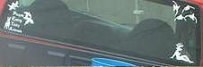Name: Picture06512.jpg
Views: 157
Size: 13.8 KB