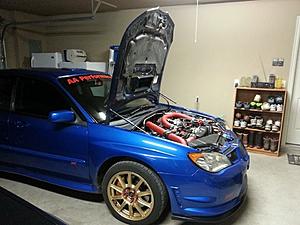 Hood Strut Install-hoodstruts2.jpg