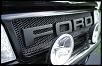 buggman's Raptor Ranger Grille Project-img_2700_zpsb9f6814b.jpg