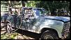 thinking about buying an 1981 F250-100_0236.jpg