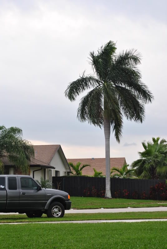 Name:  DSC_1456.jpg
Views: 4834
Size:  87.7 KB