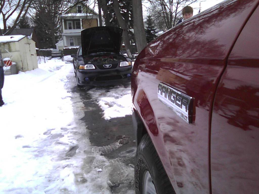 Name:  ranger-mustang.jpg
Views: 144
Size:  86.8 KB
