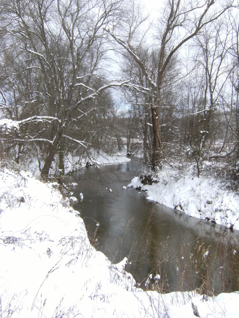 Name: 2009Snow033.jpg
Views: 169
Size: 273.5 KB