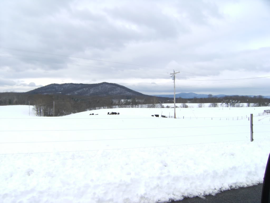 Name: 2009Snow034.jpg
Views: 144
Size: 88.3 KB