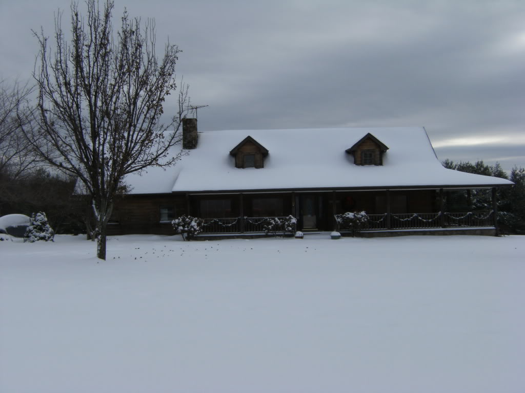 Name: 2009Snow028.jpg
Views: 150
Size: 115.1 KB
