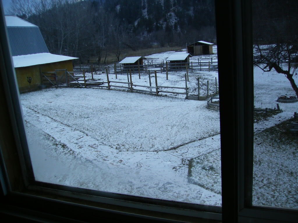 Name:  driveway001.jpg
Views: 6903
Size:  165.6 KB