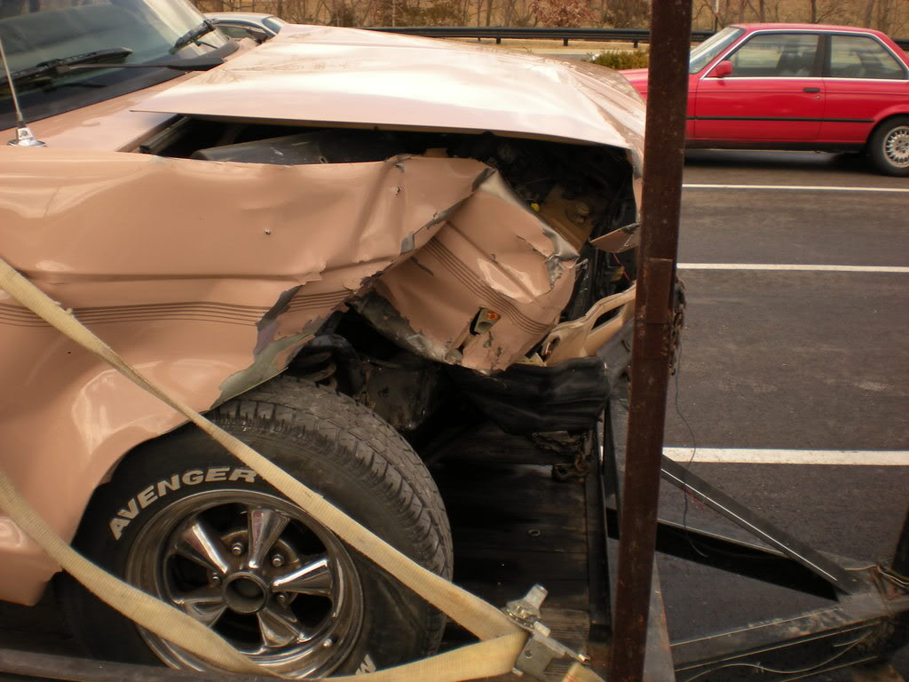 Name: DSCN0189.jpg
Views: 409
Size: 115.8 KB