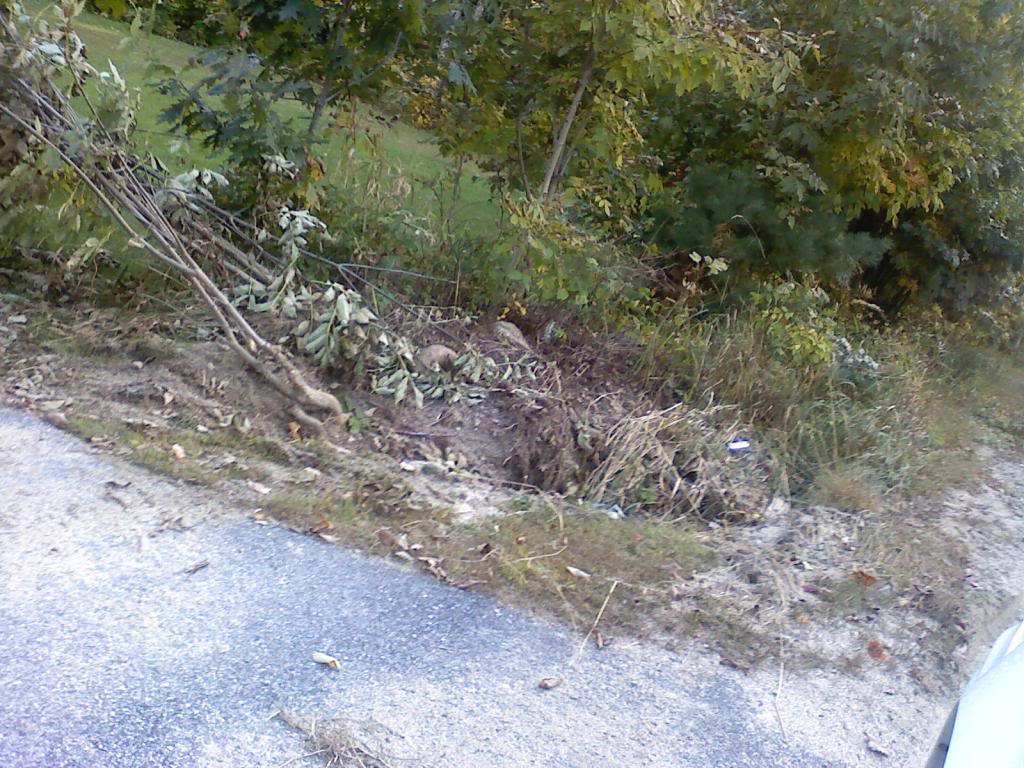 Name:  1005091632-02.jpg
Views: 123
Size:  165.8 KB
