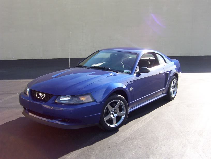 Name:  000_0664.jpg
Views: 3693
Size:  61.4 KB