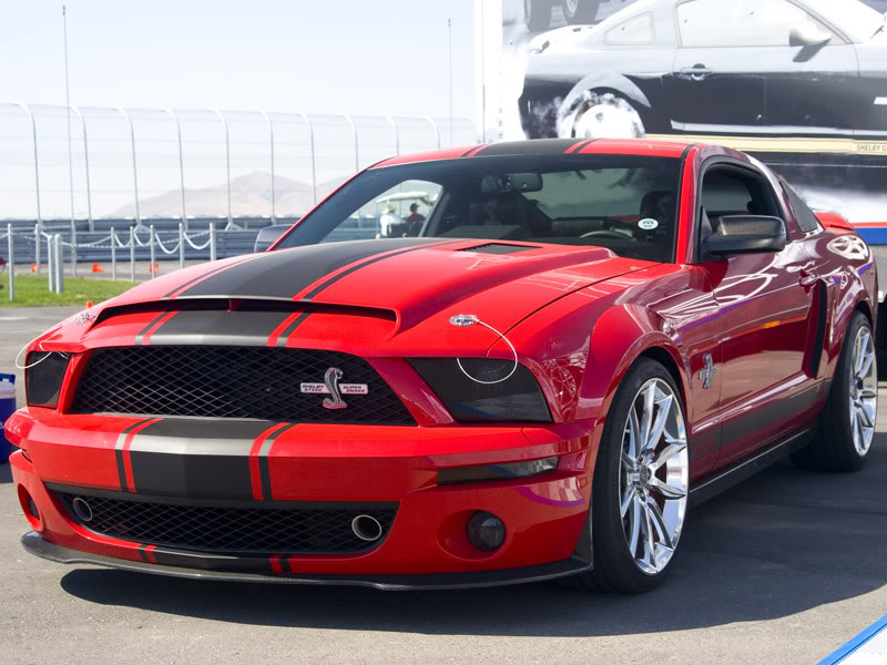 Name:  ShelbySuperSnake.jpg
Views: 120
Size:  95.2 KB