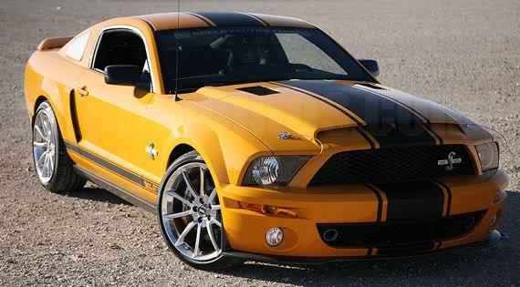 Name:  shelby-gt-500-super-snake.jpg
Views: 179
Size:  42.5 KB