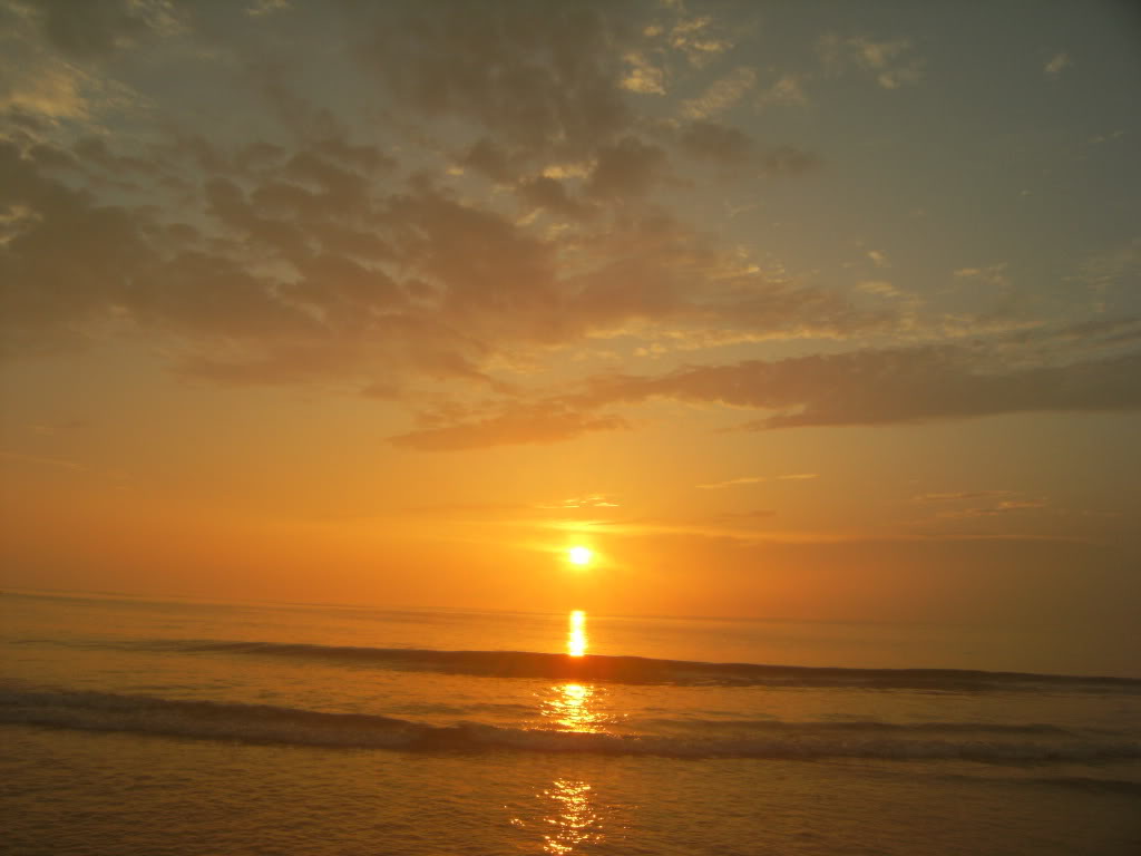 Name: Picture125.jpg
Views: 47
Size: 82.1 KB