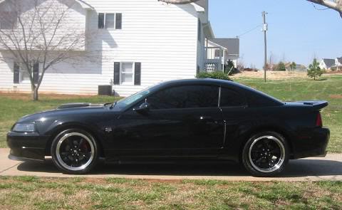 Name:  IMG_0146.jpg
Views: 3781
Size:  28.5 KB