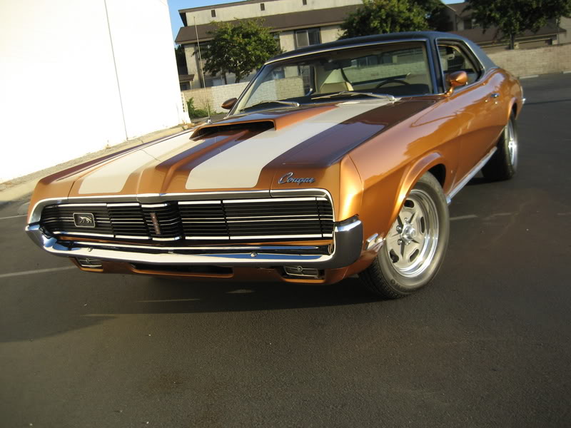 Name:  IMG_1901.jpg
Views: 3913
Size:  82.1 KB