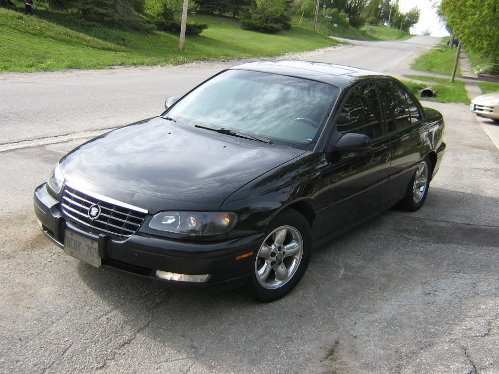 Name:  Blackgrille003-1.jpg
Views: 4948
Size:  205.2 KB