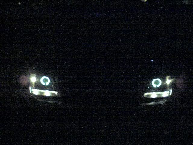 Name:  haloss-1.jpg
Views: 54
Size:  63.9 KB
