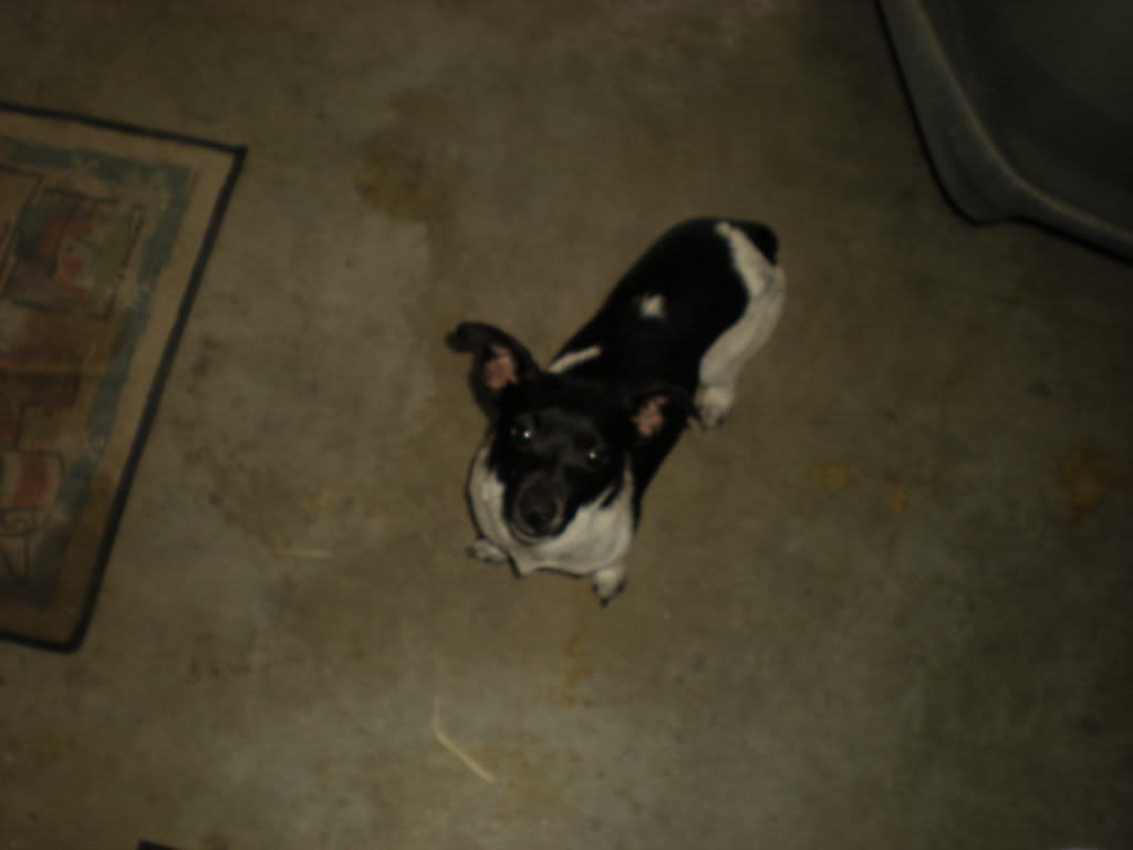 Name:  DSCN0352.jpg
Views: 91
Size:  41.5 KB