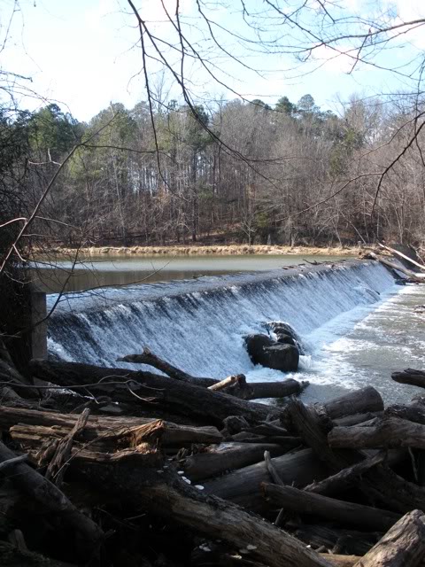 Name:  DSCN0343.jpg
Views: 52
Size:  92.7 KB