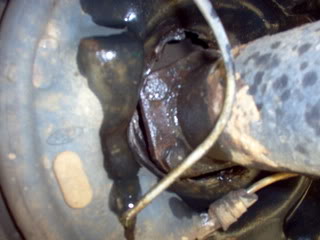 Name: IM000078.jpg
Views: 50
Size: 15.8 KB