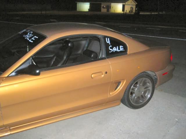 Name:  P9270036.jpg
Views: 48
Size:  34.7 KB
