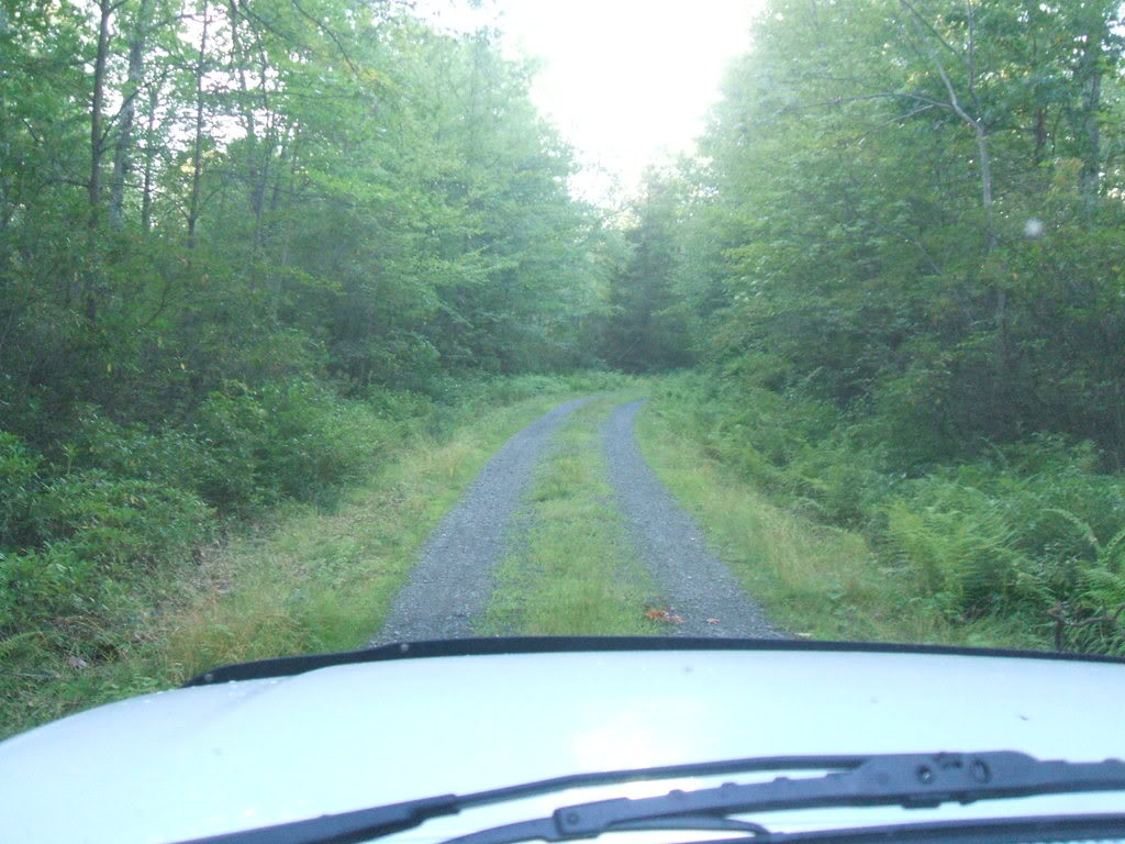 Name: adventurewithdave005.jpg
Views: 61
Size: 139.2 KB