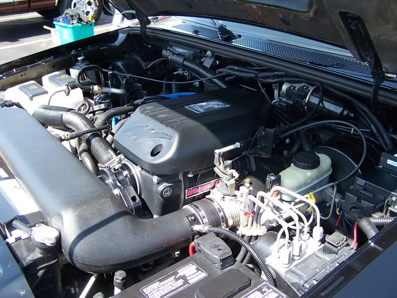 Name: 100_2786.jpg
Views: 130
Size: 127.3 KB