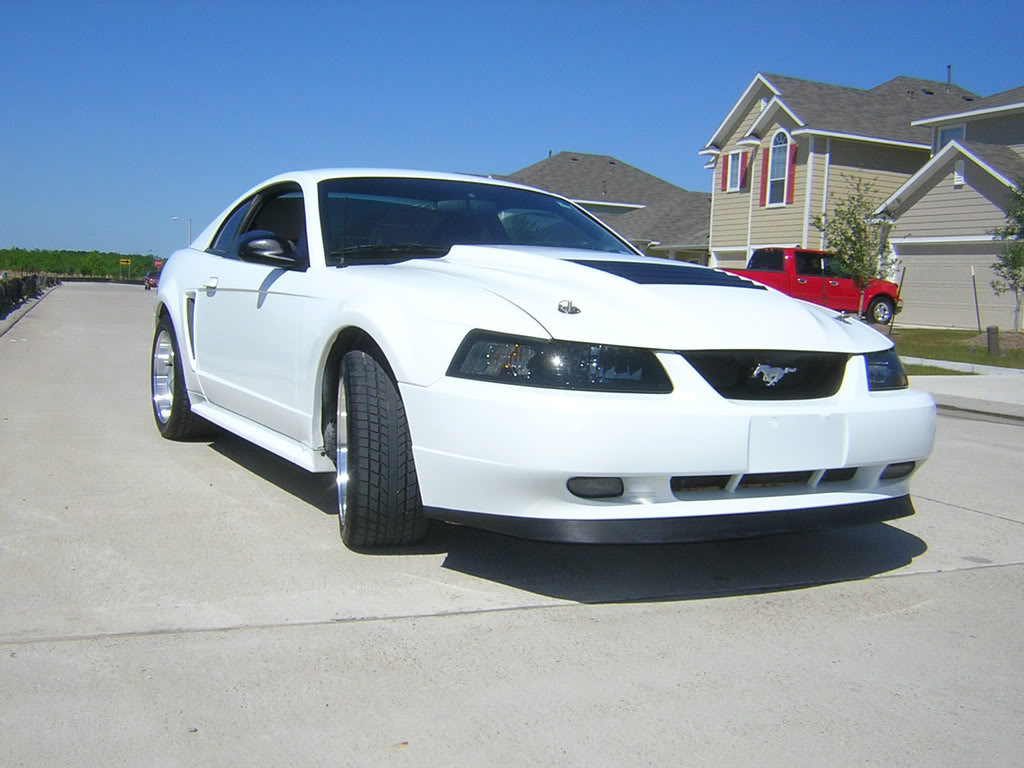 Name:  4-19-08005.jpg
Views: 133
Size:  112.6 KB