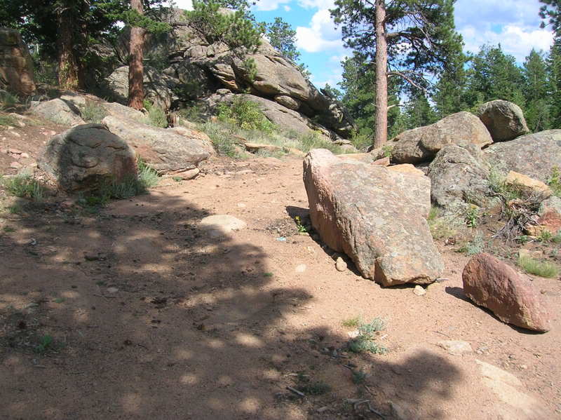 Name:  JakewheelininRustic029.jpg
Views: 87
Size:  88.5 KB
