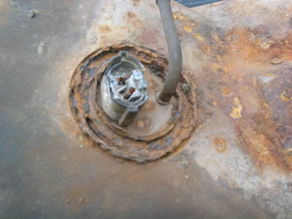 Name:  rust.jpg
Views: 450
Size:  35.7 KB