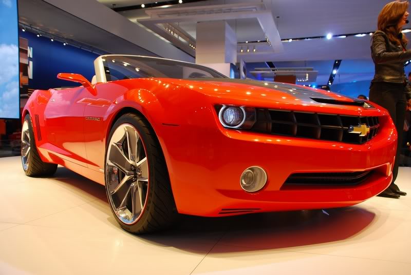 Name:  mini-DSC_0271.jpg
Views: 691
Size:  60.0 KB