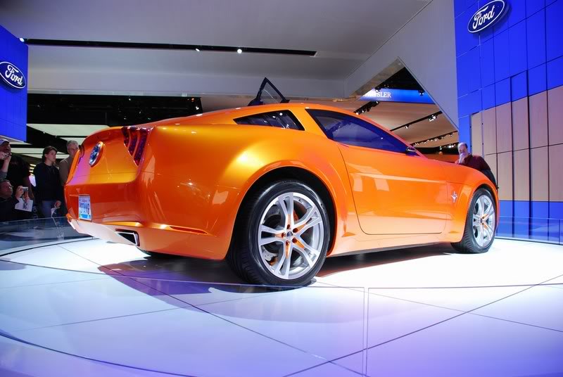 Name:  mini-DSC_0175.jpg
Views: 740
Size:  61.9 KB